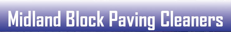 Website Header Logo